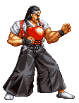 Art of Fighting